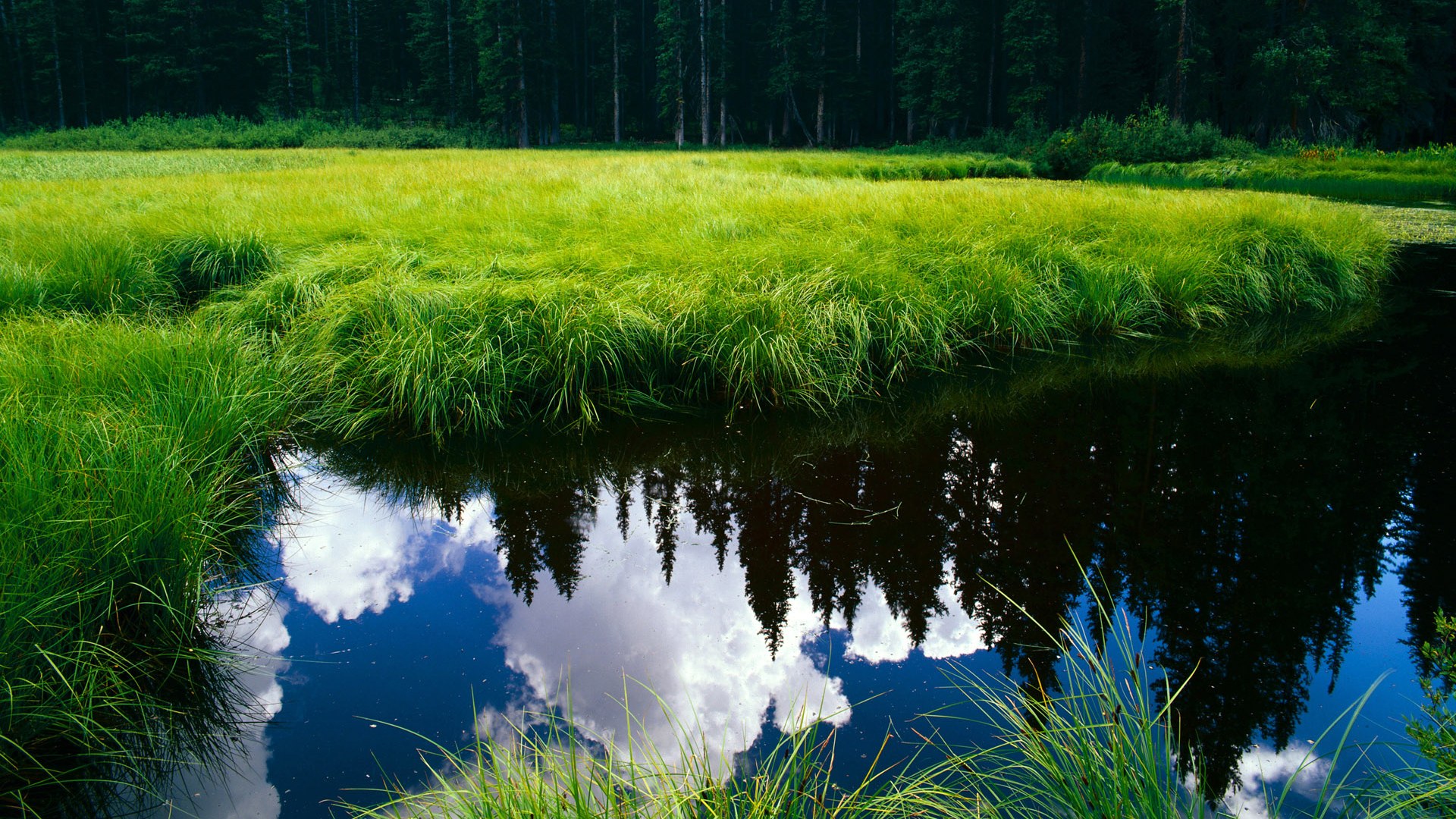 哈弗茨关键一剑定乾坤!比利亚雷亚尔友谊赛强压非洲雄狮几内亚