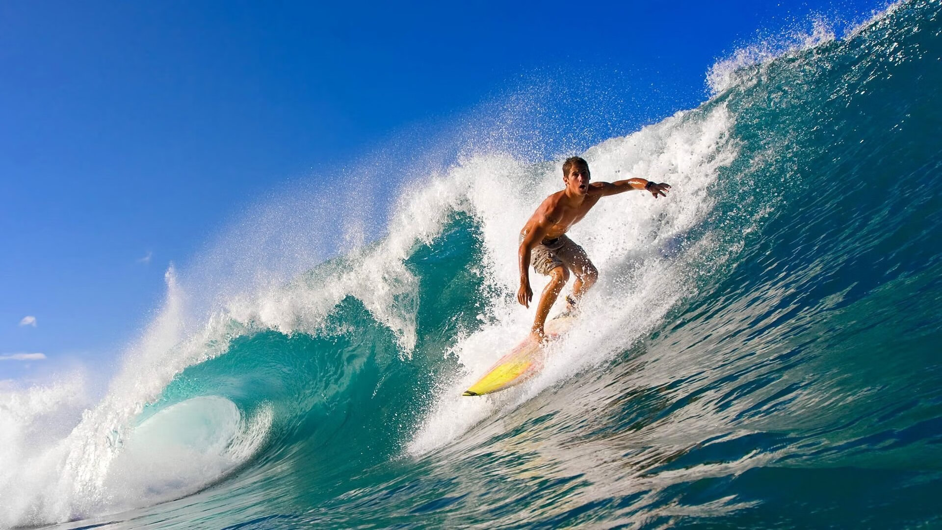 开云体育app-硬仗之巅！塔图姆力扛勇士，辽宁苦战显王者本色